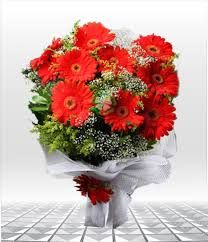 kırmızı gerbera buketi