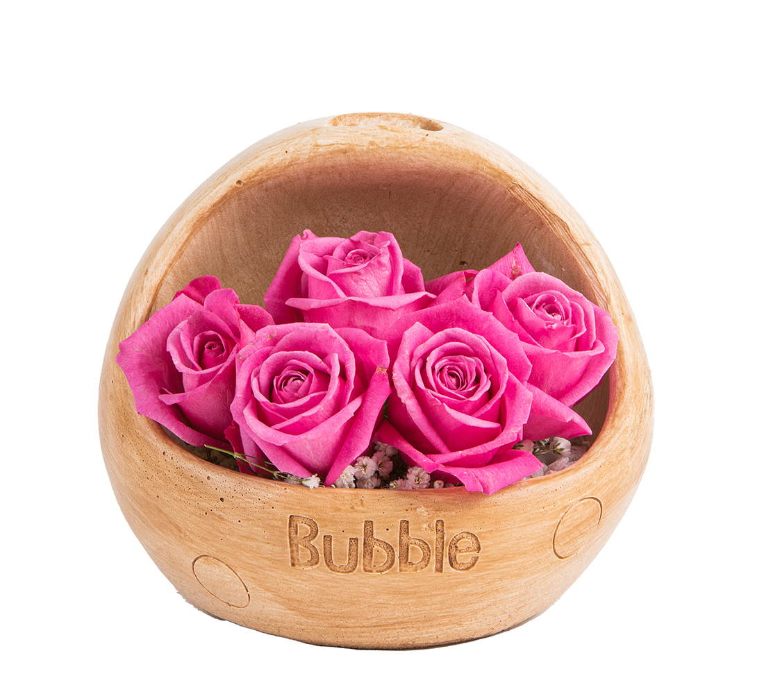 Buble Serisi Pembe Güller