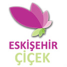 test ürünü